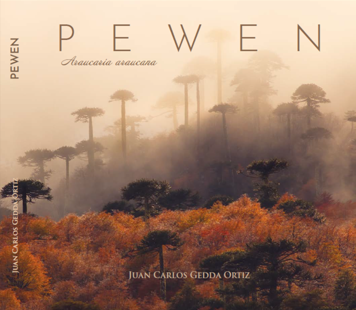 Portada del libro Pewen Araucaria araucana